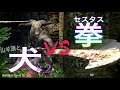 #5【ダークソウル】山羊頭…？あぁ、サンドバッグかと思ったわ。【DARK SOULS REMASTERED】