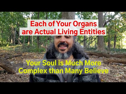 Each of Your Organs are Actual Living Entities. Your Soul is Much More Complex than Many Believe.