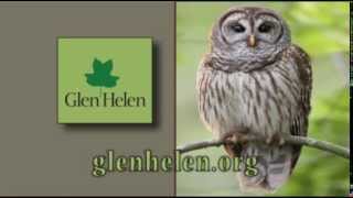 Whoo Cooks Think Tv 2012