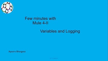 Mule 4 - Variables and Logging. FMWM II