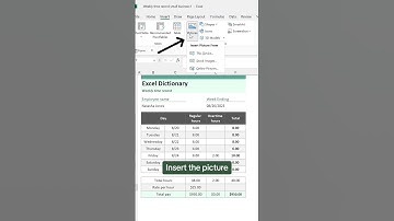 How to insert a signature into your workbook. ✍🏼 #excel #microsoftoffice #sheets