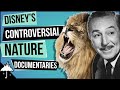 Disneys true life adventure nature documentary films explained