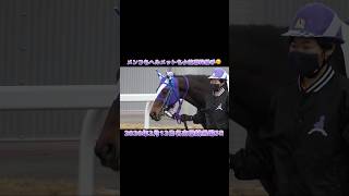 メンコもヘルメットも小笠原羚騎手カラー