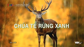 Khám phá thế giới - Chúa tể rừng xanh
