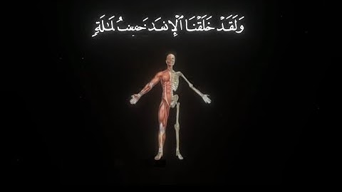 ولقد خلقنا الانسان من سلالة من طين... | سورة المؤمنون| ياسر الدوسري جزاه الله خيرا #قرآن