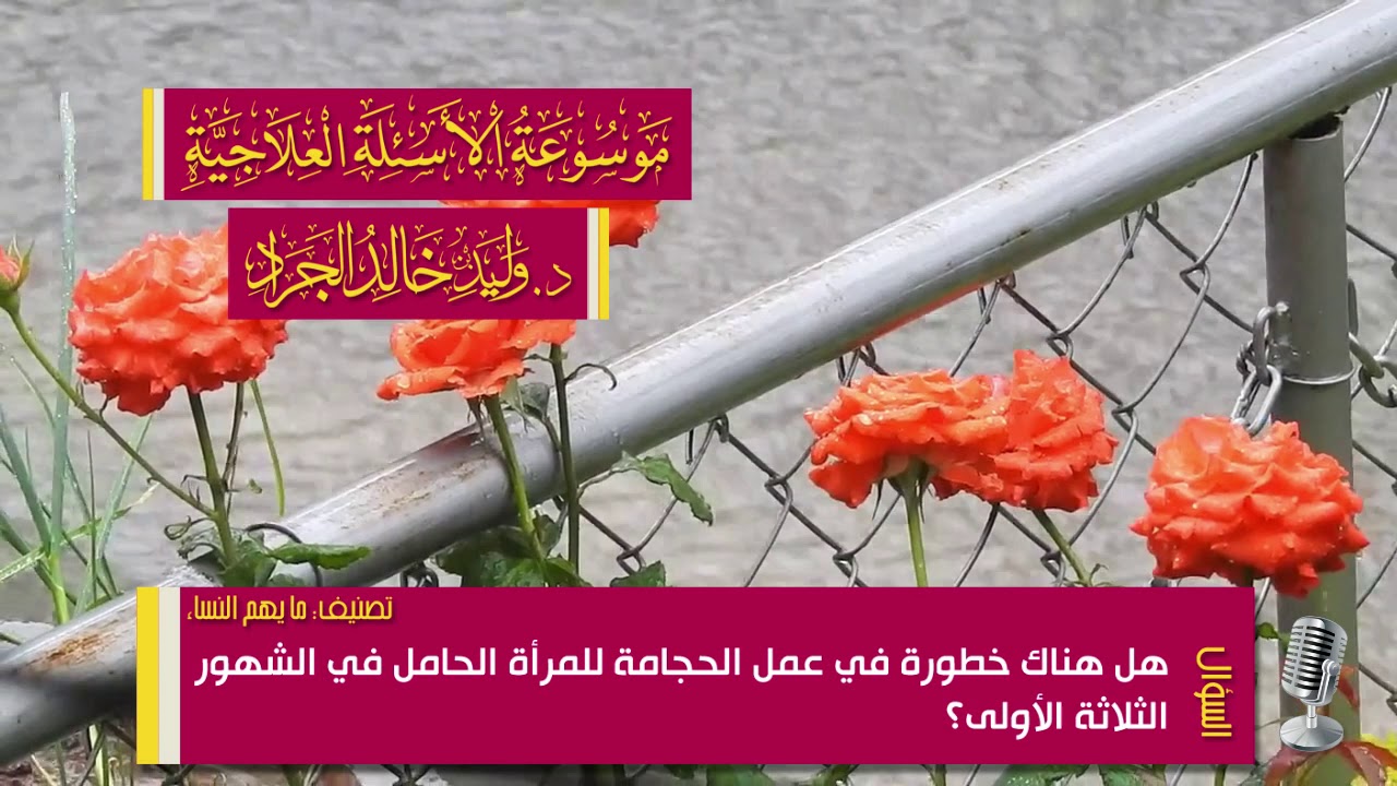 السؤال [1168] [13-54]: هل هناك خطورة في عمل الحجامة للمرأة الحامل في الشهور الثلاثة الأولى؟