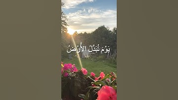 #قرآن #تلاوة_خاشعة #تلاوة_هادئة #tilawat #راحة_نفسية