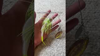 You Need These 4 Baits To Catch Fish This Summer