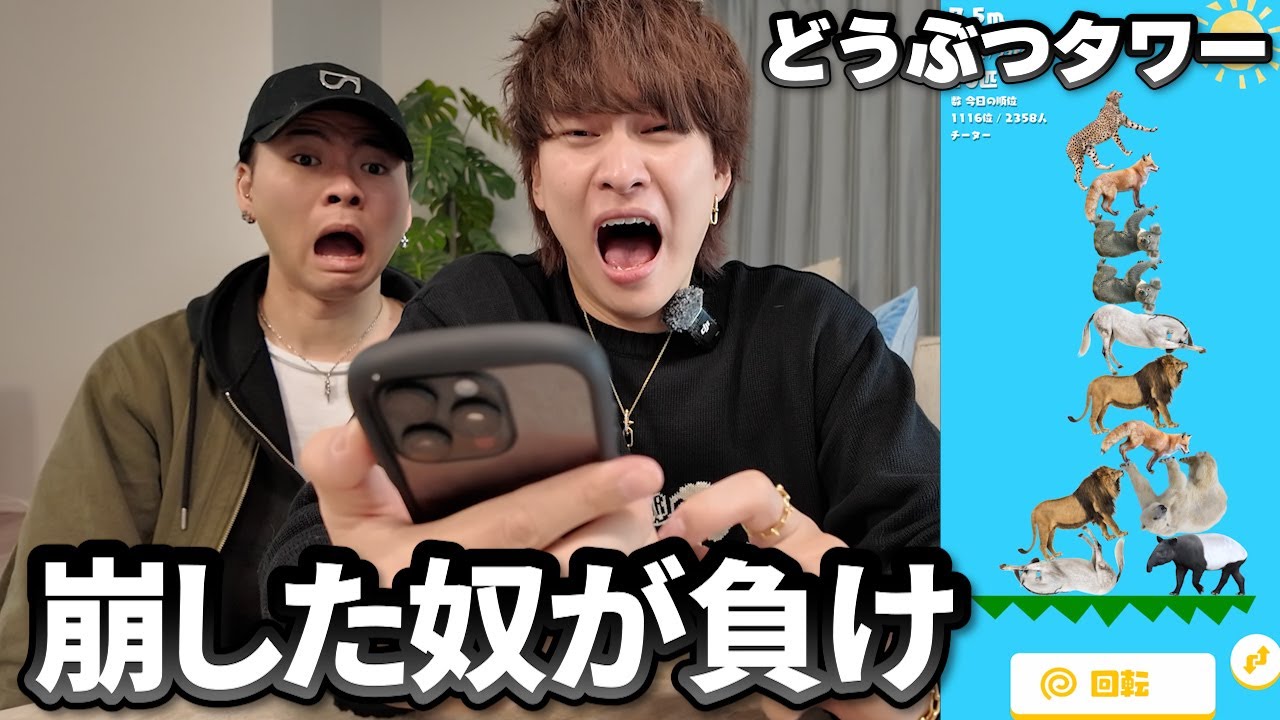どうぶつタワーで1ミスした瞬間負けの極限バトル！！【どうぶつタワー】