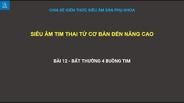 BÀI 12 - BẤT THƯỜNG 4 BUỒNG TIM