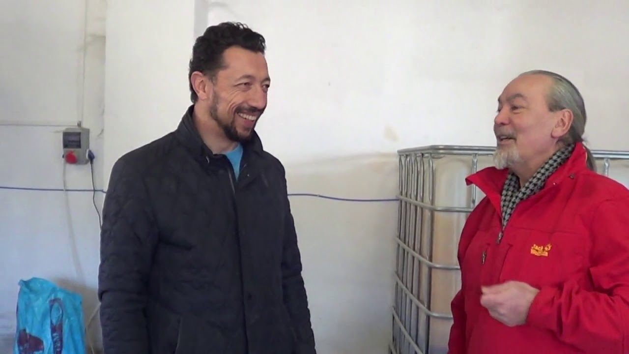 KUTLUDÜĞÜNDE KUZU BÜYÜTME BAŞLANGIÇ YEMİ YAPIMI