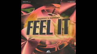 🎧🦎🎼 Sikdope \u0026 RayRay - Feel It (Extended Mix)💥💣🤩