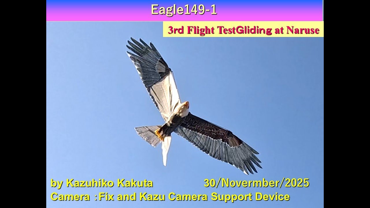 Ornithopter ハクトウワシ型羽ばたき機　 完成！　 Eagle149-1 Wingspan240cm ：3rd Flight Test Gliding at Naruse