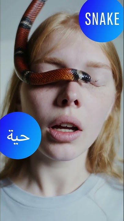 what-does-snake-mean-in-lebanese-arabic-dialect-levantine