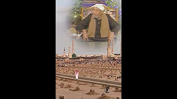 مدة العزاء للميت للشيخ محمد متولي الشعراوي رحمه الله 