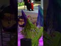 Highlights from Pope Leo XIV’s Second Day in Madrid, Spain