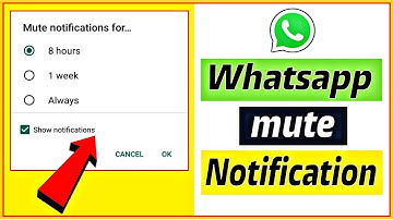 whatsapp mute notification setting | whatsapp me mute notification kya hota hai ?