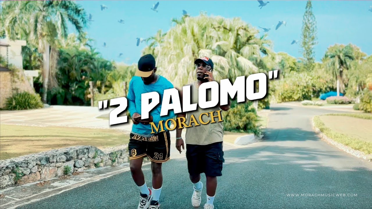 2 Palomo - Freestyle - Morach