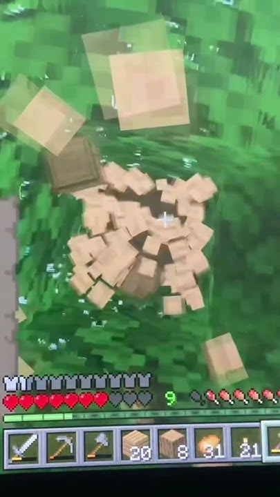Day 2 3 Of 100 Days In Minecraft minecraft minecraftshorts day-2-3-of-100-days-in-minecraft-minecraft-minecraftshorts