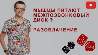 Мышцы и позвоночные диски