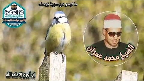 تلاوة رائعة وخاشعة من سورة يوسف للعملاق الكبير الشيخ محمد عمران رحمه الله.