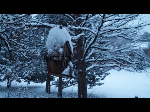 Winter Is Coming