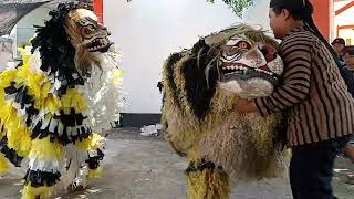 tari macan macan