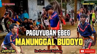 Janturan Pamungkas || Ebeg Manunggal Budoyo|| Live Pandansari Kejobong|| #ebeg #janturan#ryanchannel