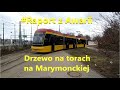 #Raport z Awarii - Drzewo na torach na Marymonckiej