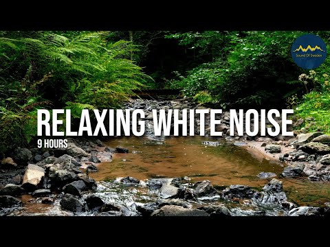 Gentle Babbling Stream — Solvarboravinen, Dalarna