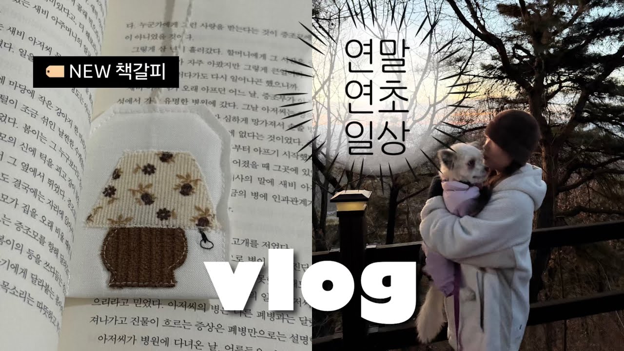 갓생 브이로그. 해돋이(feat.강아지). 10년차 직장인 연휴 보내는 법. 다이어리 기록. 독서템. 등촌샤브샤브 레시피. 두쫀쿠. 연말연초 일상. 새해 언박싱📦