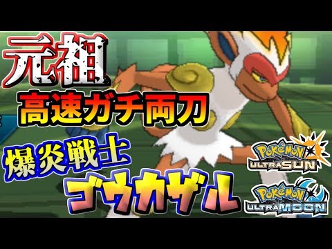 ゴウカザル 育成論 ポケモンの壁紙