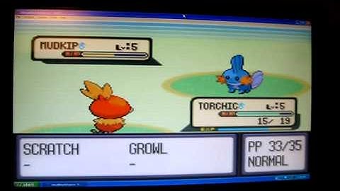 Pokemon Ruby; First Rival Battle