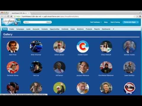 Force.com Demo #25 - Visualforce Gallery