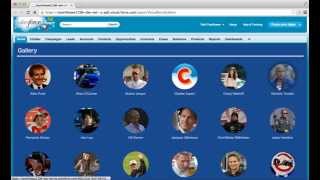 Celebrity Force.com Demo #25 - Visualforce Gallery Net Worth