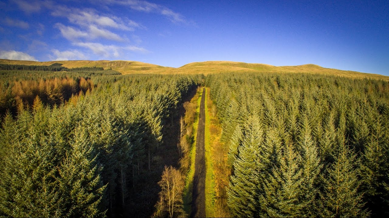 Eagles Rock | Moydamlaght Forest