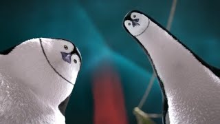 Penguin Animated short Film; 'ICE Pepper'-by ESMA.