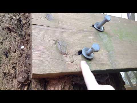 How To Attach A Treehouse Supports