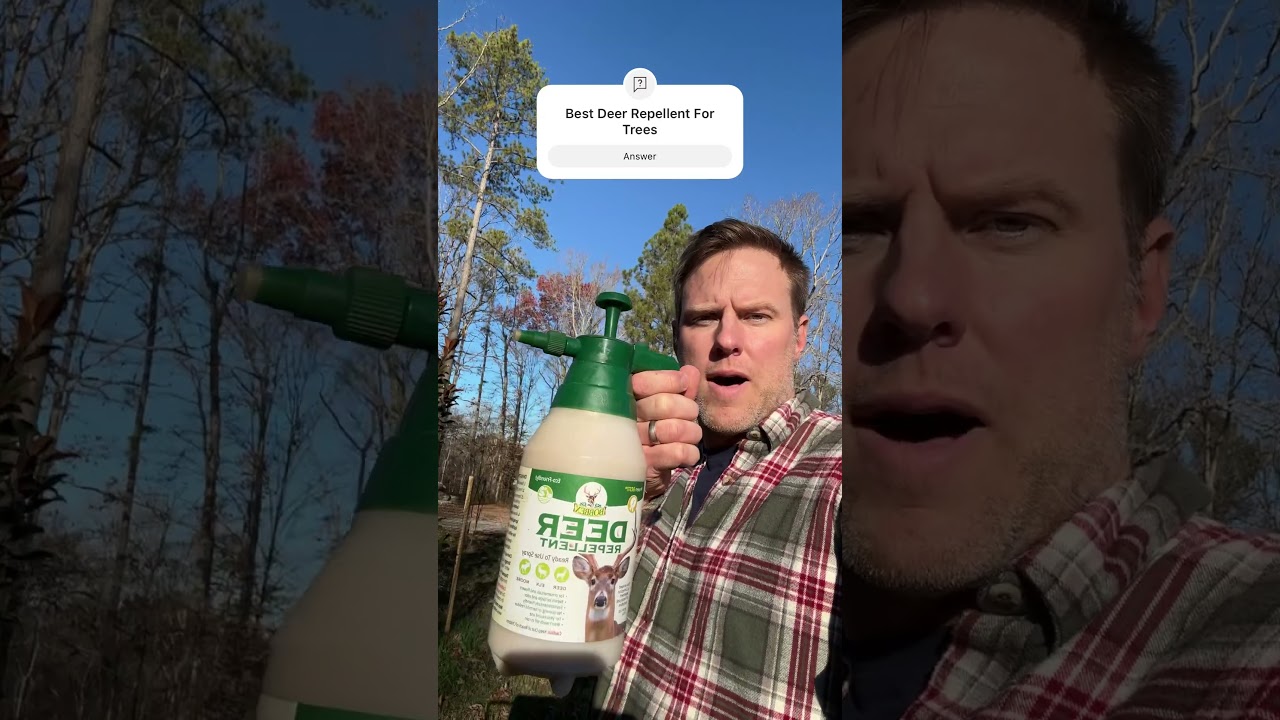 Best deer repellent to protect your trees in Virginia