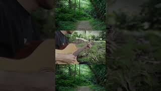 Sampai menutup mata acha - Fingerstyle Guitar #shortvideo #reels