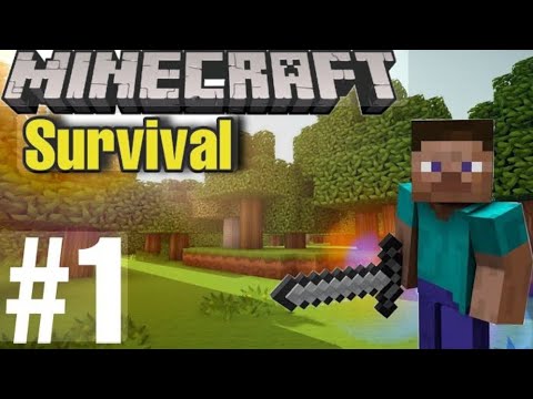 New Minecraft survival series part first [hindi] #minecraft - YouTube