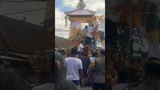 Download Lagu 👀 #ngabenmassal #meninggaldunia #tradition #traditional #balineseculture #balinesetradition #bali MP3