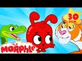 Morphle And The Scary Animals - Halloween | My Magic Pet Morphle | Cartoons For Kids | Morphle TV