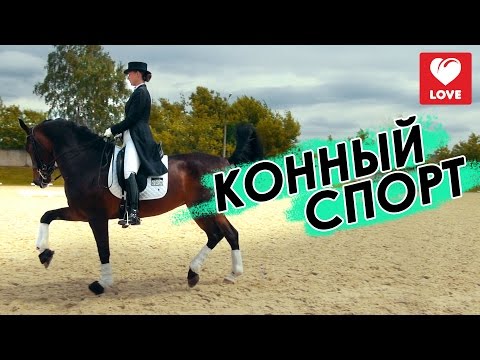 Конный спорт. Скачем в Рио!