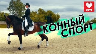 видео Конный спорт на Олимпийских играх-2016