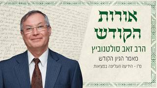 הגיון הקודש - סימן מ"ו - הידיעה העליונה במציאות | אורות הקודש | הרב זאב סולטנוביץ'