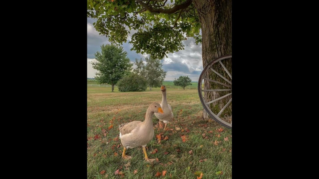 [FREE] pink noise x hyperpop type beat 