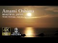 【4K Amami Oshima(World heritage) Beautiful Japan. Sunrise. Sunset】4K Calm Music 世界遺産 奄美大島