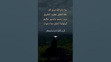 احسن صوت الشيخ فارس عباد صوت جميل جدا تلاوه خاشعه تبكي الحجر