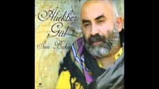 ALİEKBER GÜL - KIŞ ERKEN GELDİ